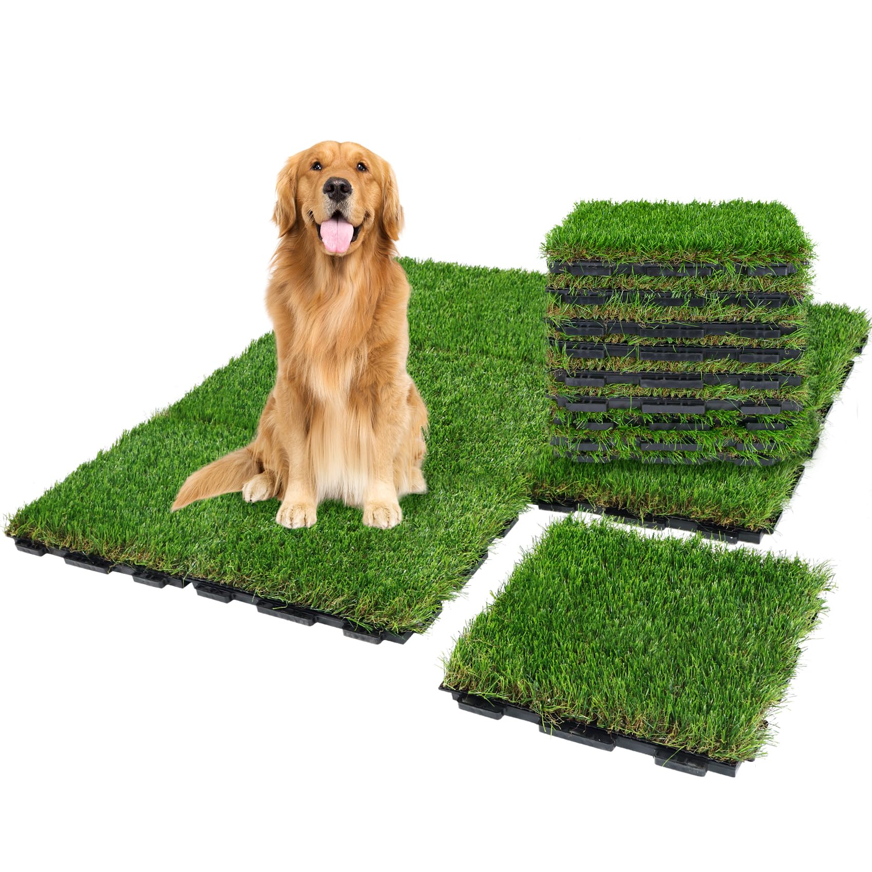 Dogs / Pet Package - Image 4